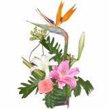 Ƹʻٵ
