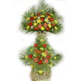 Ƹʻٵ