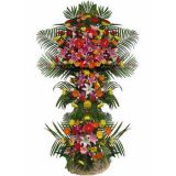 Ƹʻٵ